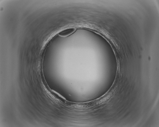 X0000087641500200705181512