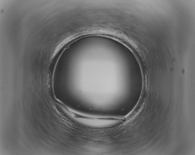 X0000087641501200705181512