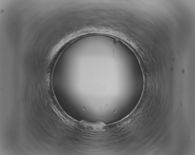 X0000087641503200705181512