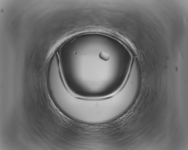 X0000087641504200705181512