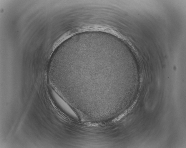 X0000087641505200705181512