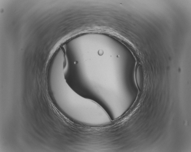 X0000087641506200705181512