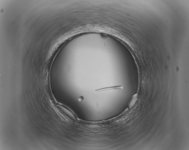 X0000087641507200705181512