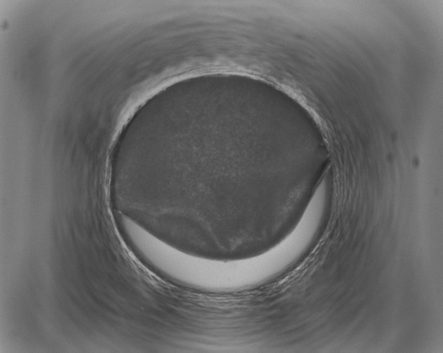 X0000087641508200705181512