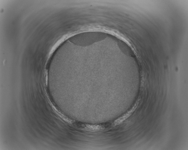 X0000087641509200705181512