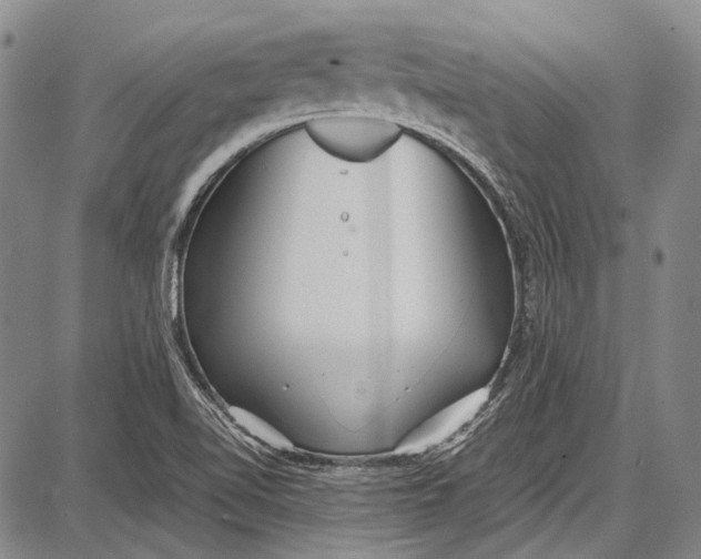 X0000087641510200705181512