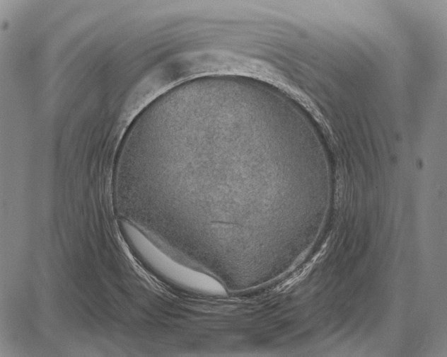 X0000087641513200705181512