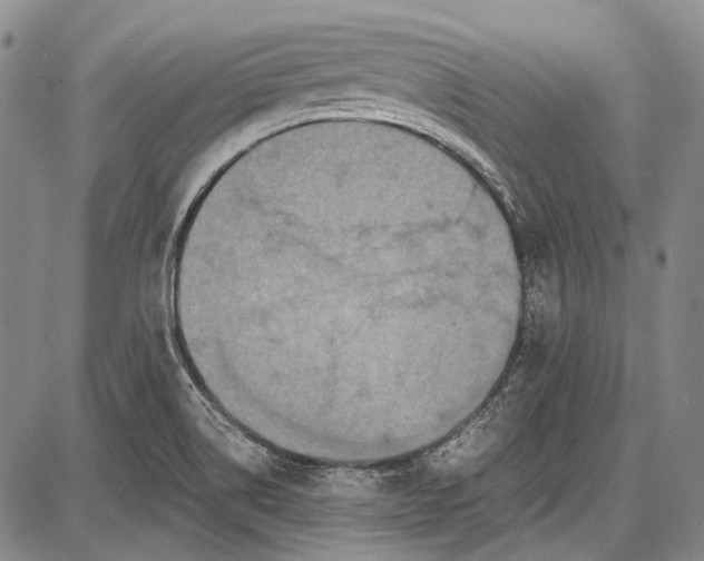 X0000087641514200705181512