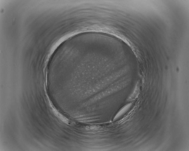 X0000087641515200705181512