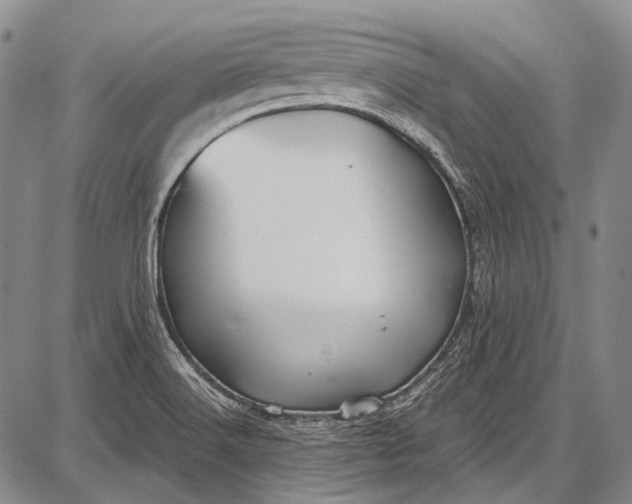 X0000087641516200705181512