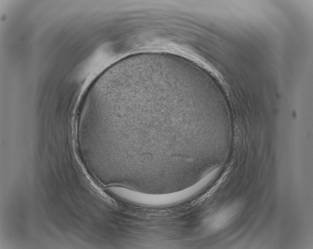 X0000087641517200705181512