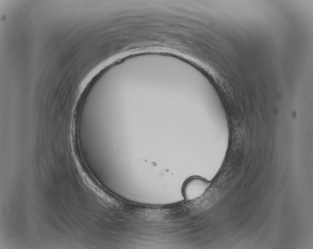 X0000087641518200705181512