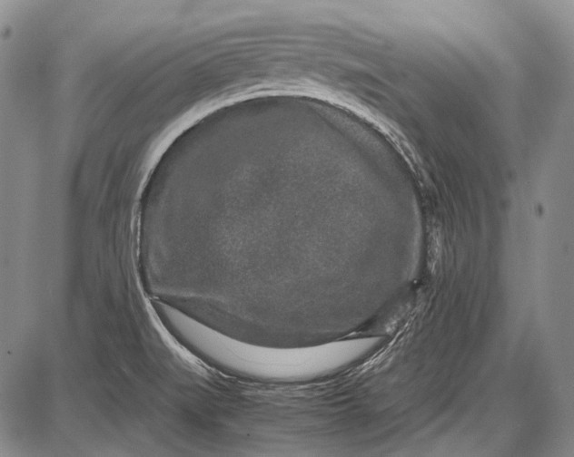 X0000087641519200705181512