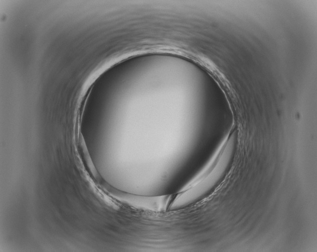 X0000087641520200705181512