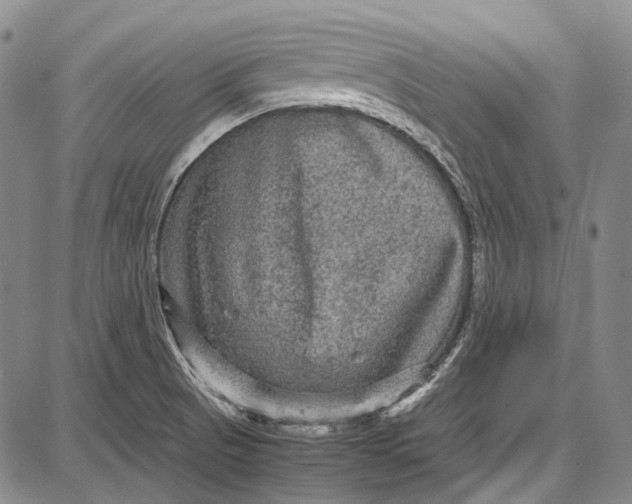 X0000087641521200705181513