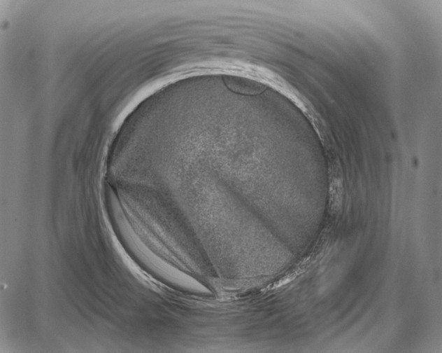 X0000087641523200705181513