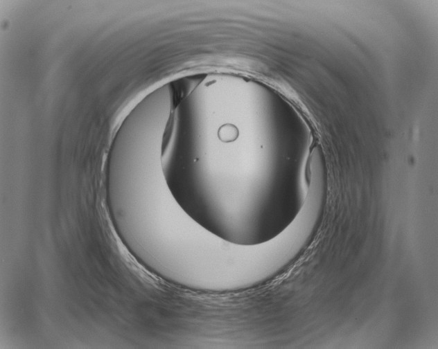 X0000087641524200705181513