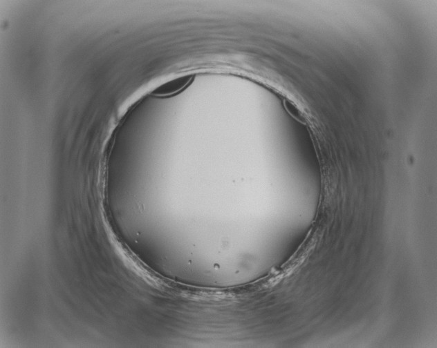 X0000087641526200705181513