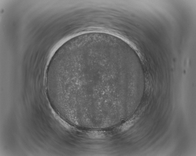 X0000087641527200705181513