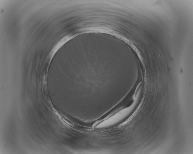 X0000087641529200705181513