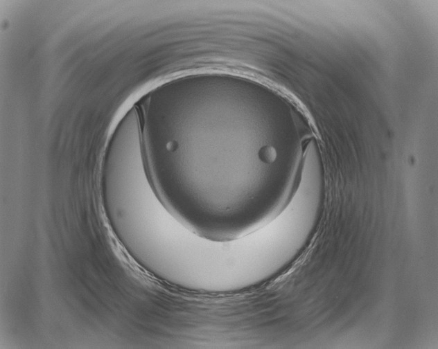 X0000087641530200705181513