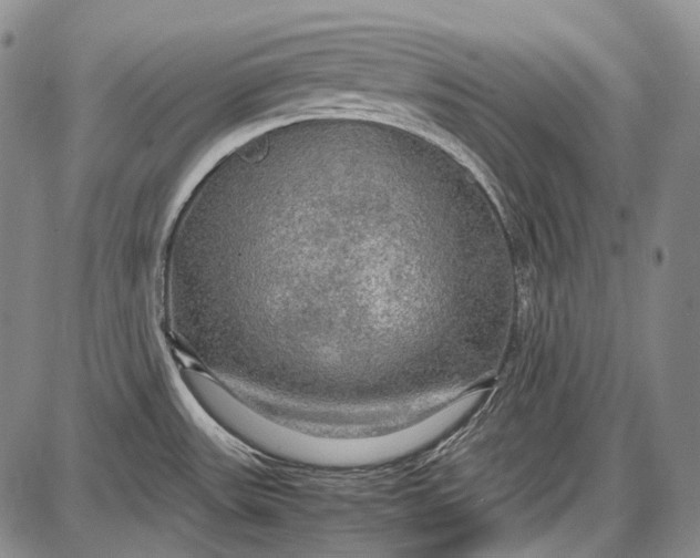 X0000087641531200705181513