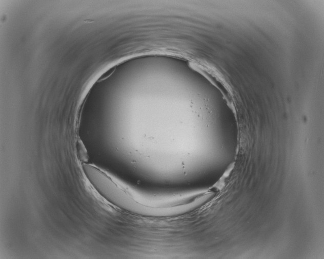 X0000087641532200705181513