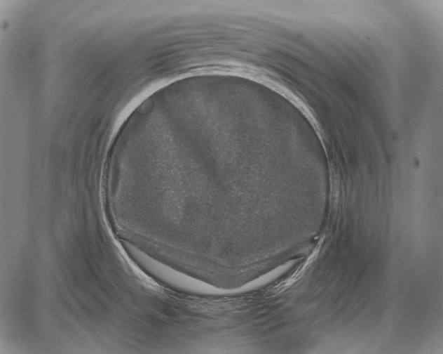 X0000087641533200705181513