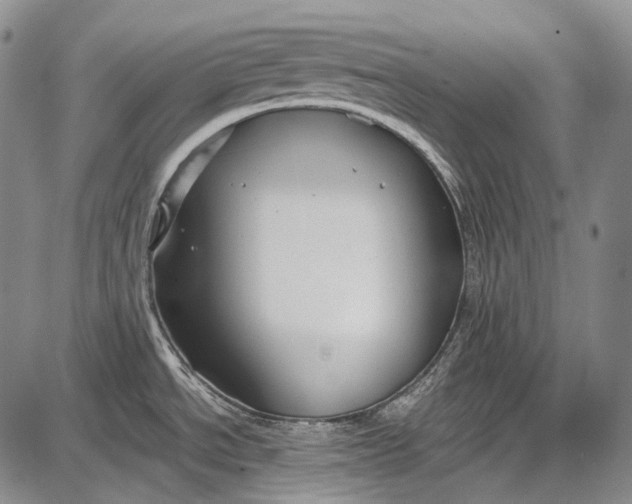 X0000087641534200705181513