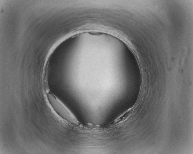 X0000087641536200705181513