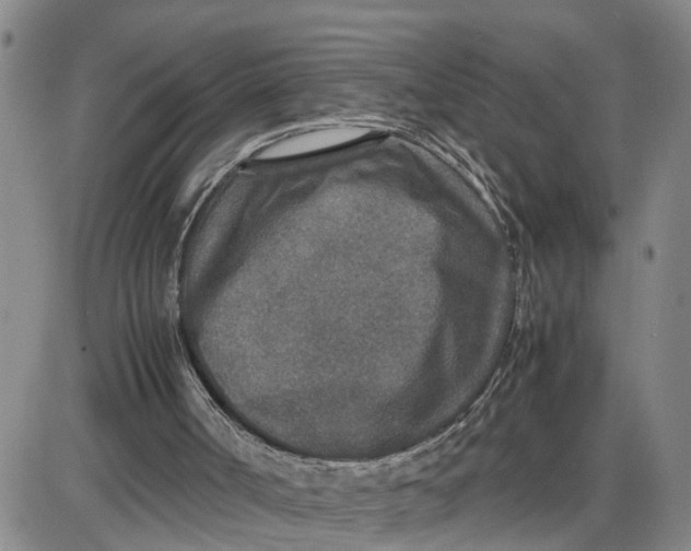 X0000087640002200705241251