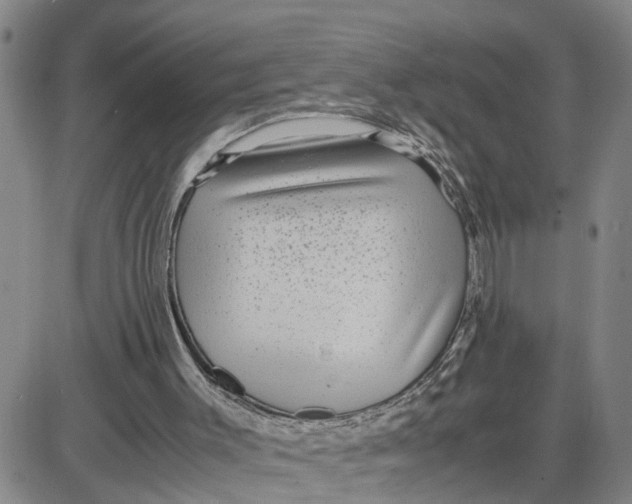 X0000087640003200705241251