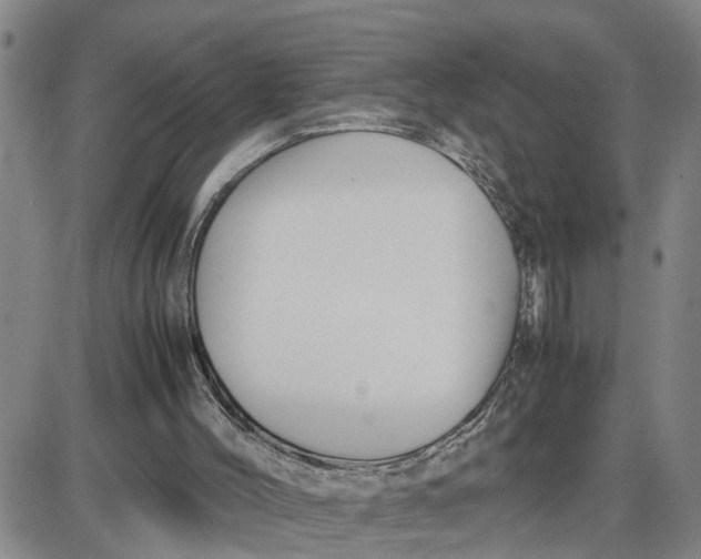 X0000087640004200705241251