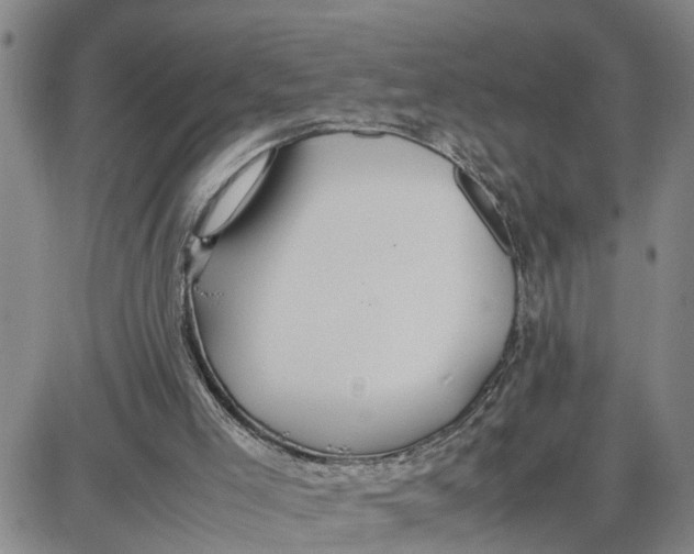 X0000087640005200705241251