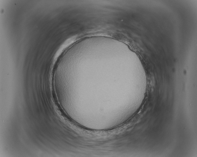 X0000087640006200705241251