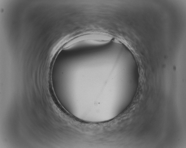 X0000087640007200705241251