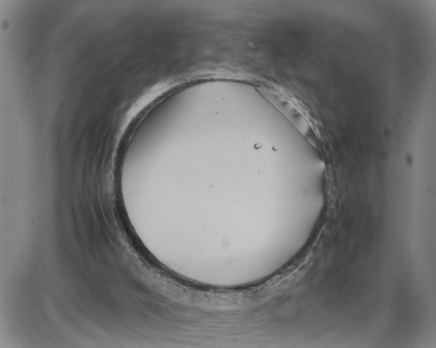 X0000087640008200705241251