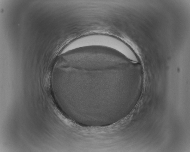 X0000087640009200705241251