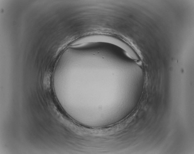 X0000087640010200705241251