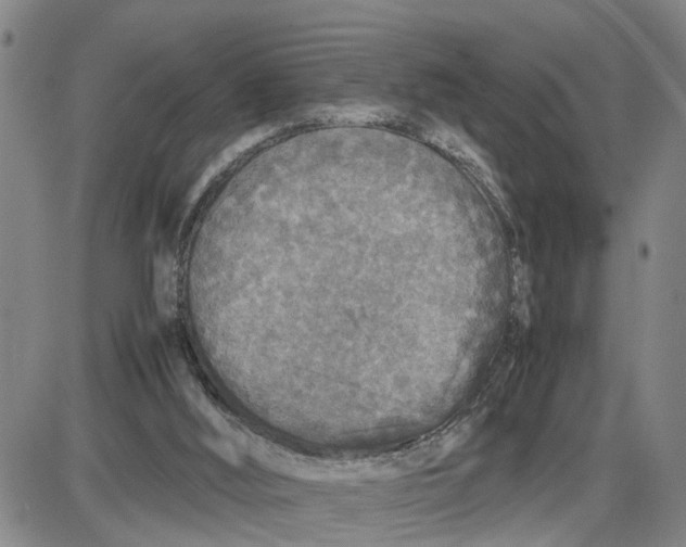 X0000087640012200705241251