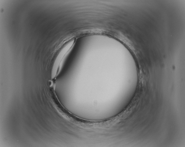 X0000087640013200705241251