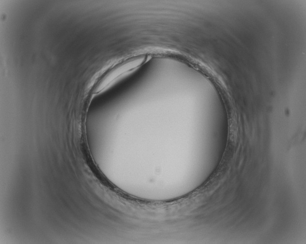 X0000087640015200705241251