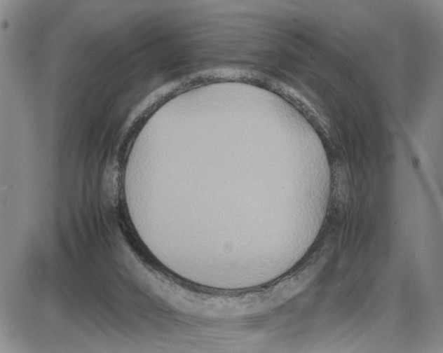 X0000087640016200705241251