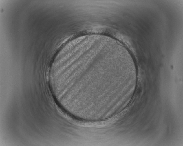 X0000087640017200705241251