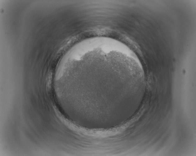 X0000087640018200705241251