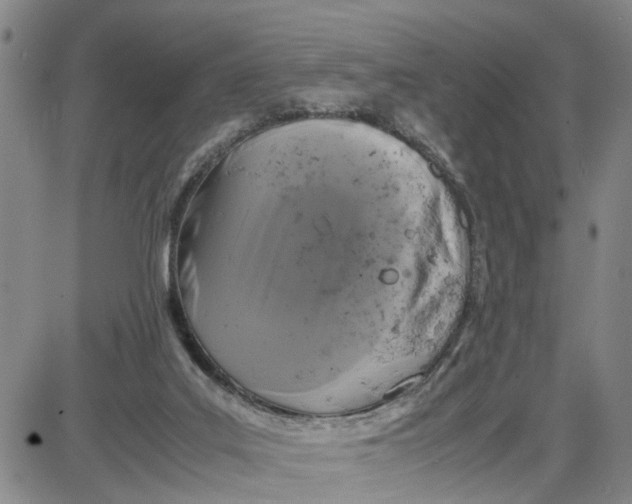 X0000087640019200705241251