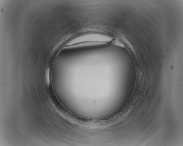 X0000087640020200705241251