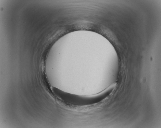 X0000087640021200705241251