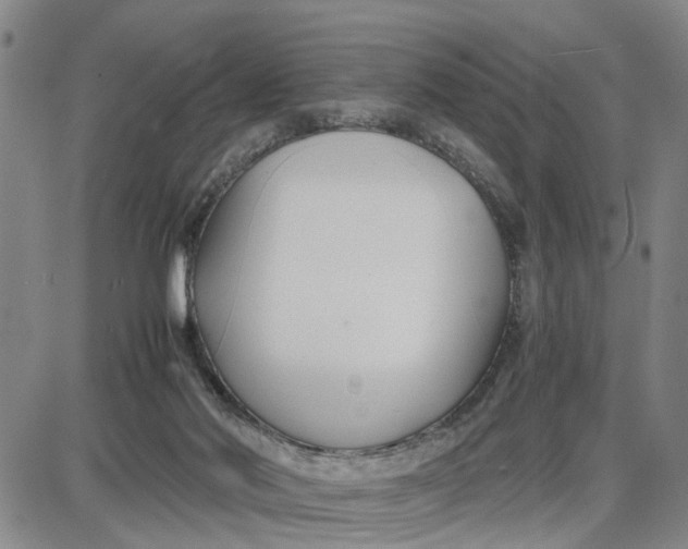 X0000087640022200705241251