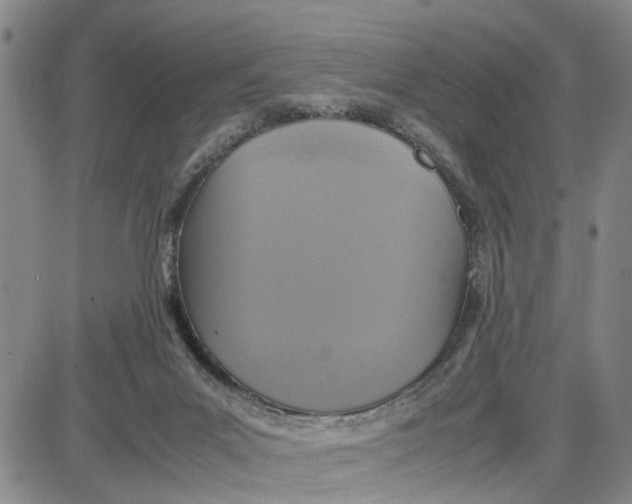 X0000087640023200705241251